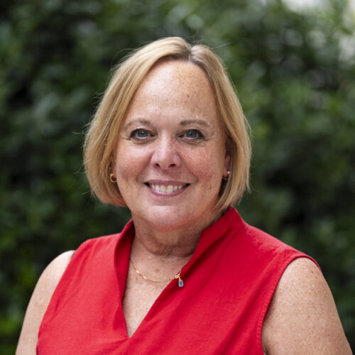 Mary Anne Sheahan headshot